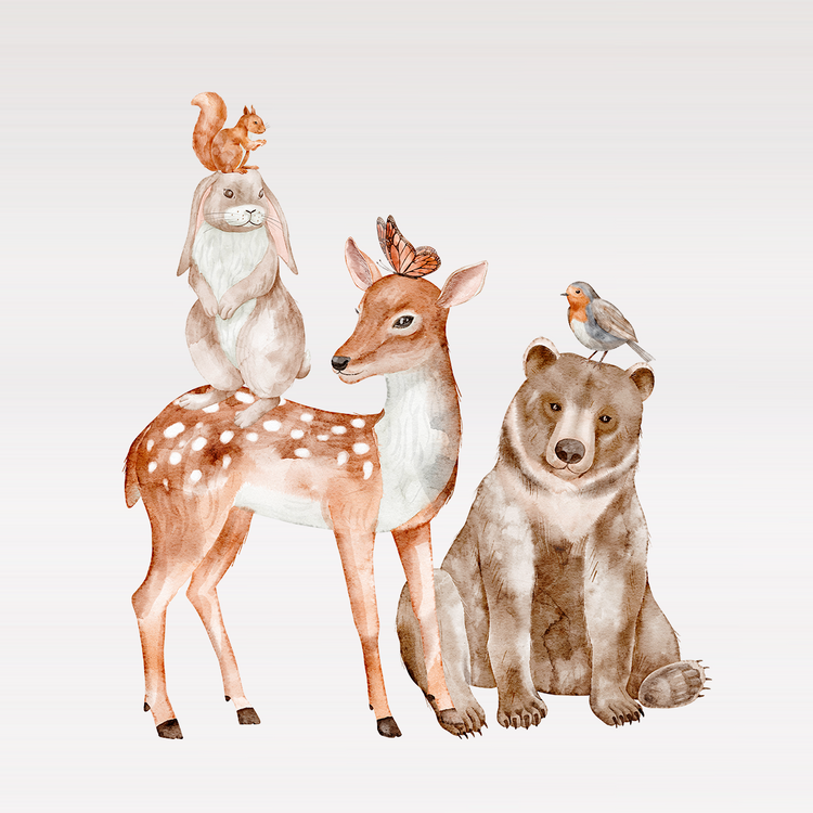 Colección Woodlands