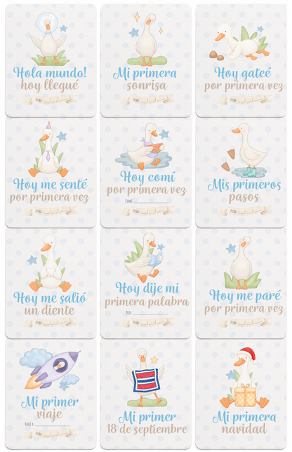 Tarjetas de hitos de desarrollo para niño