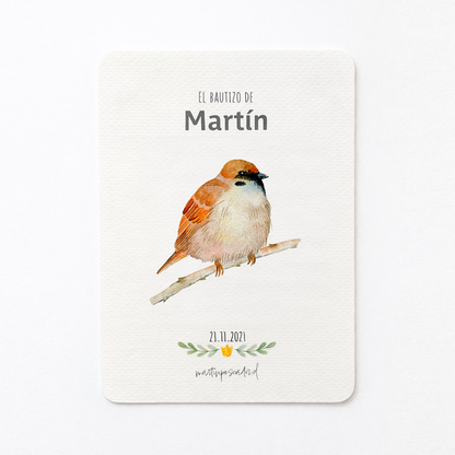 Santitos de aves (8u)
