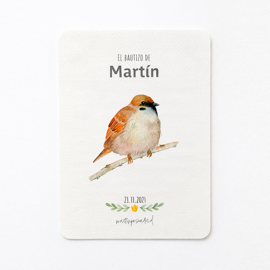 Santitos de aves (8u)
